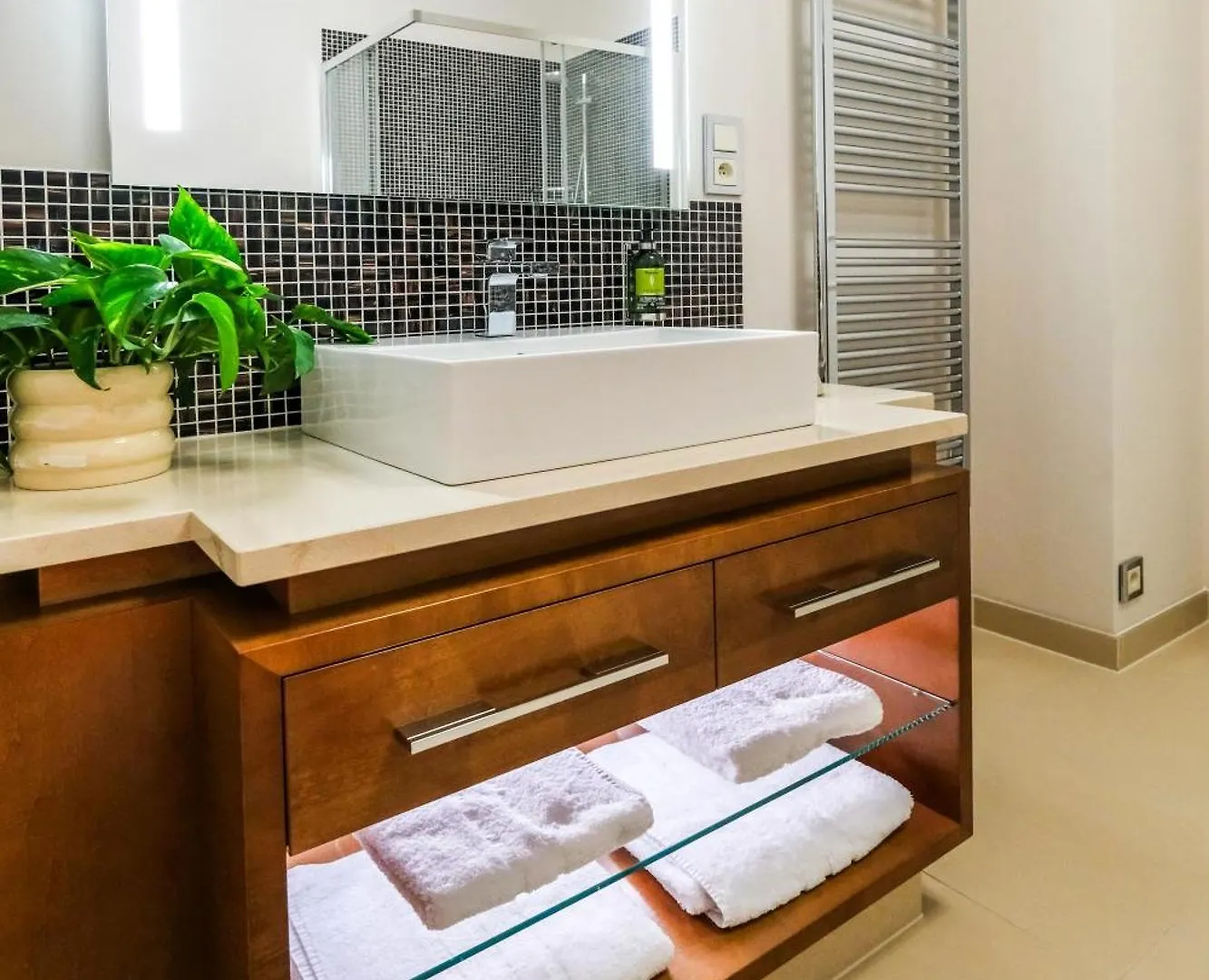 Villa Julius A Emma - Luxury Boutique Retreat Κάρλοβι Βάρι Ξενοδοχείο